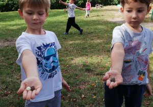 Zdjęcie przedstawia dwóch chłopców, którzy na wyciągniętej dłoni pokazują znalezione skarby w ogrodzie przedszkolnym.